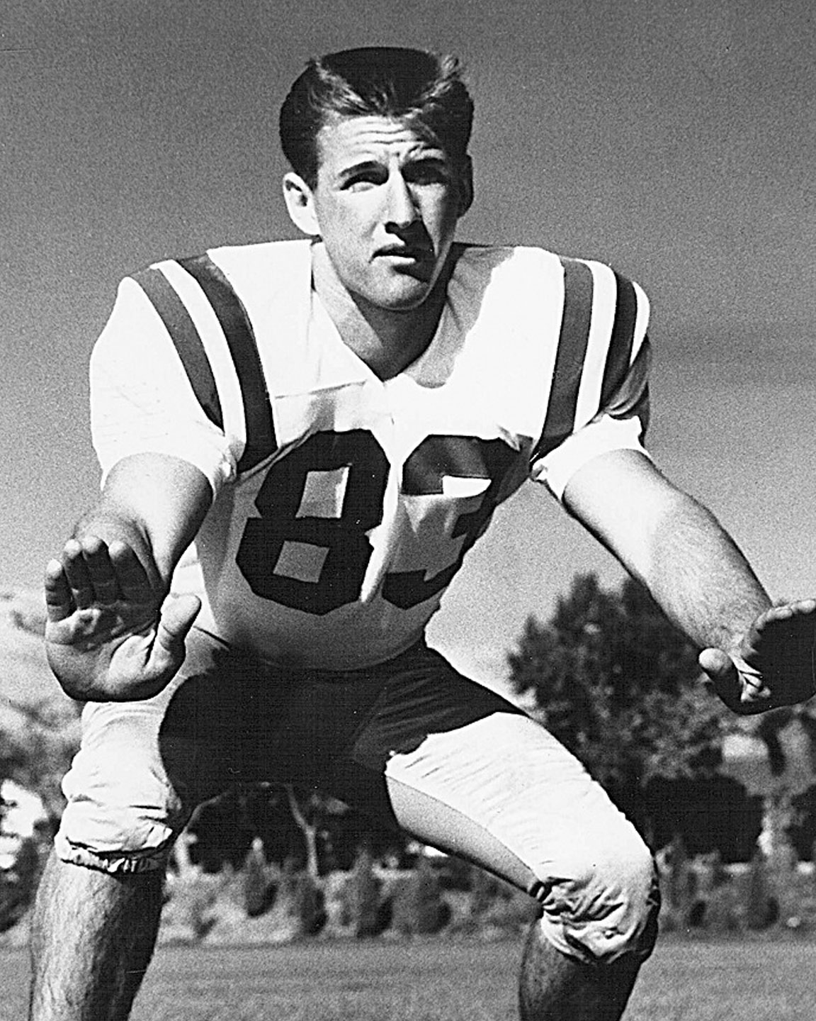 Seifert College of Science