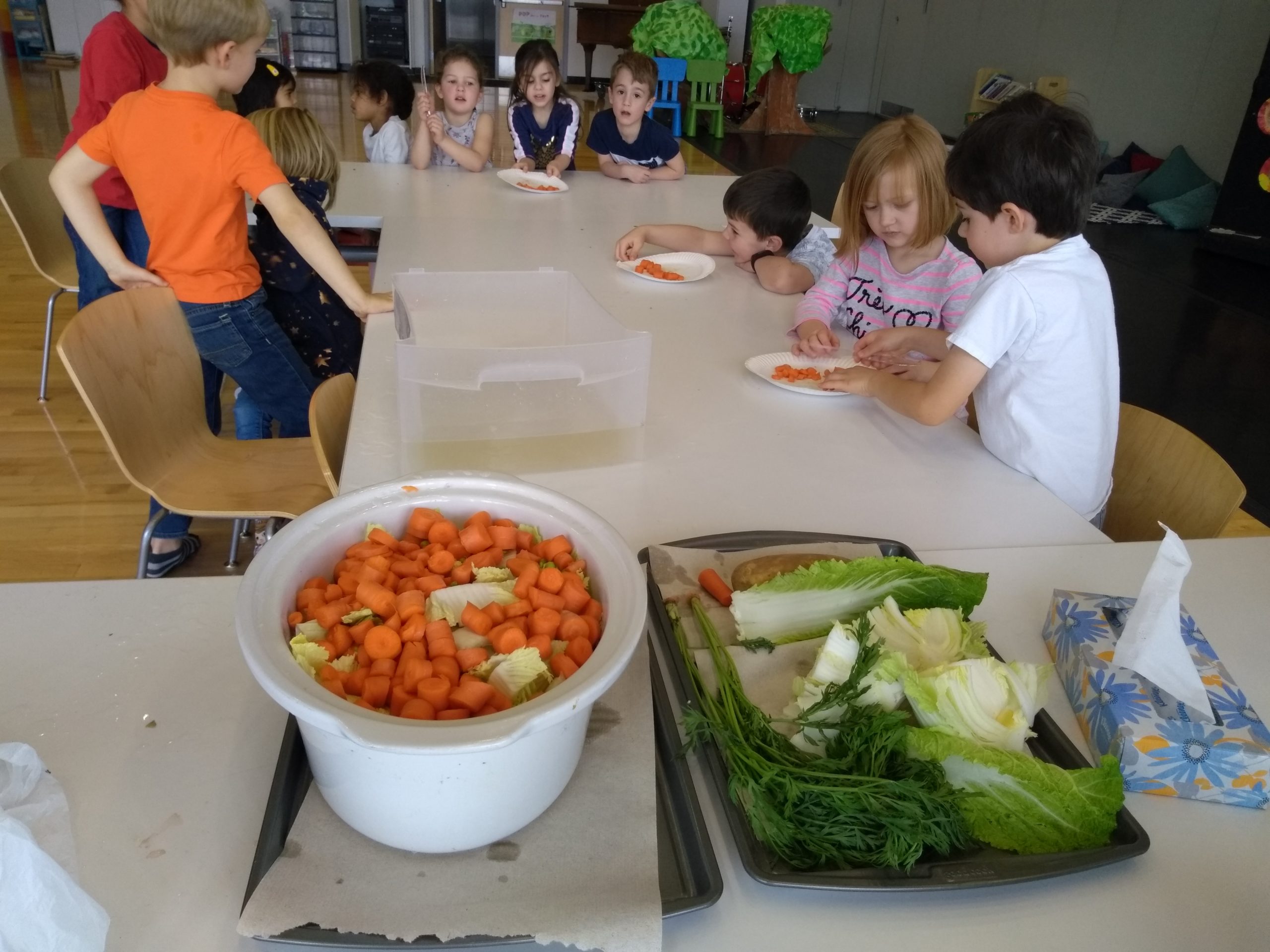 veggies soup