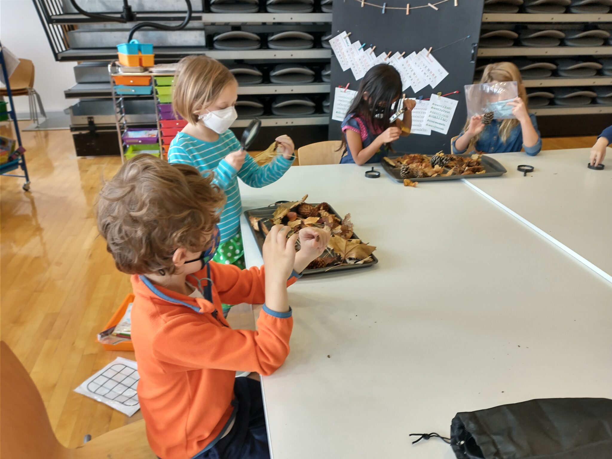 French Immersion Programs Tanner Dance